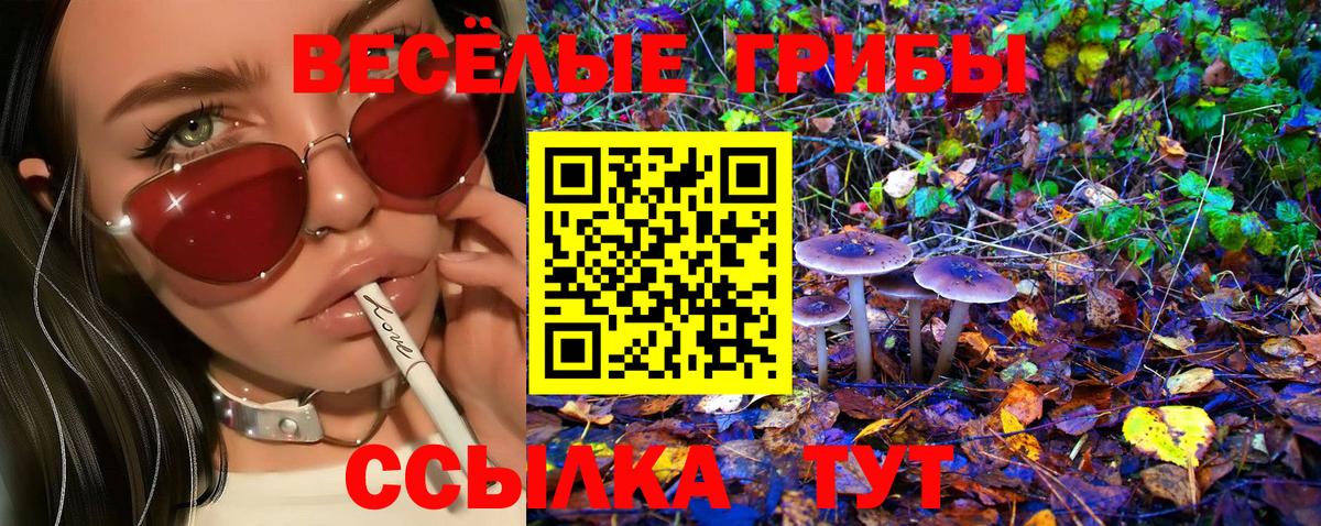 Барабинск  Псилоцибиновые грибы Cubensis  Псилоцибиновые грибы Magic Shrooms  Вход с VPN 