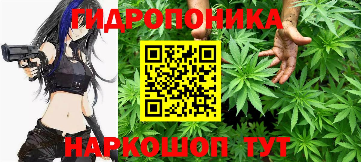Конопля семена  Шишки марихуана VHQ  Шишки марихуана LSD WEED  Барабинск  Вход с VPN 